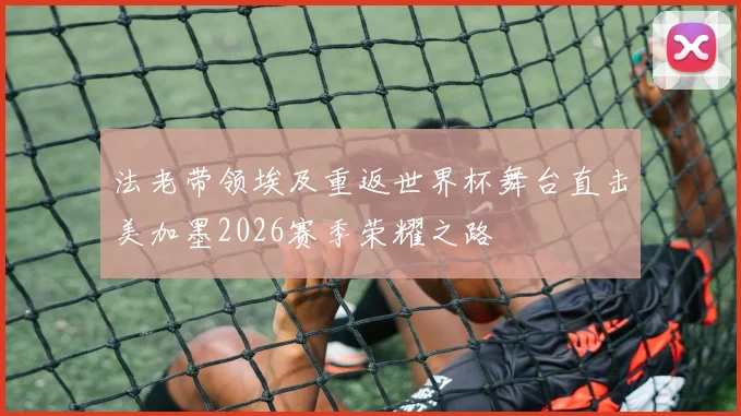 法老带领埃及重返世界杯舞台直击美加墨2026赛季荣耀之路