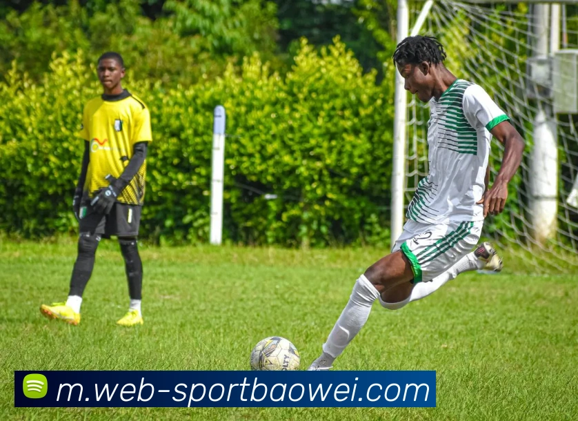 宝威体育品牌故事
